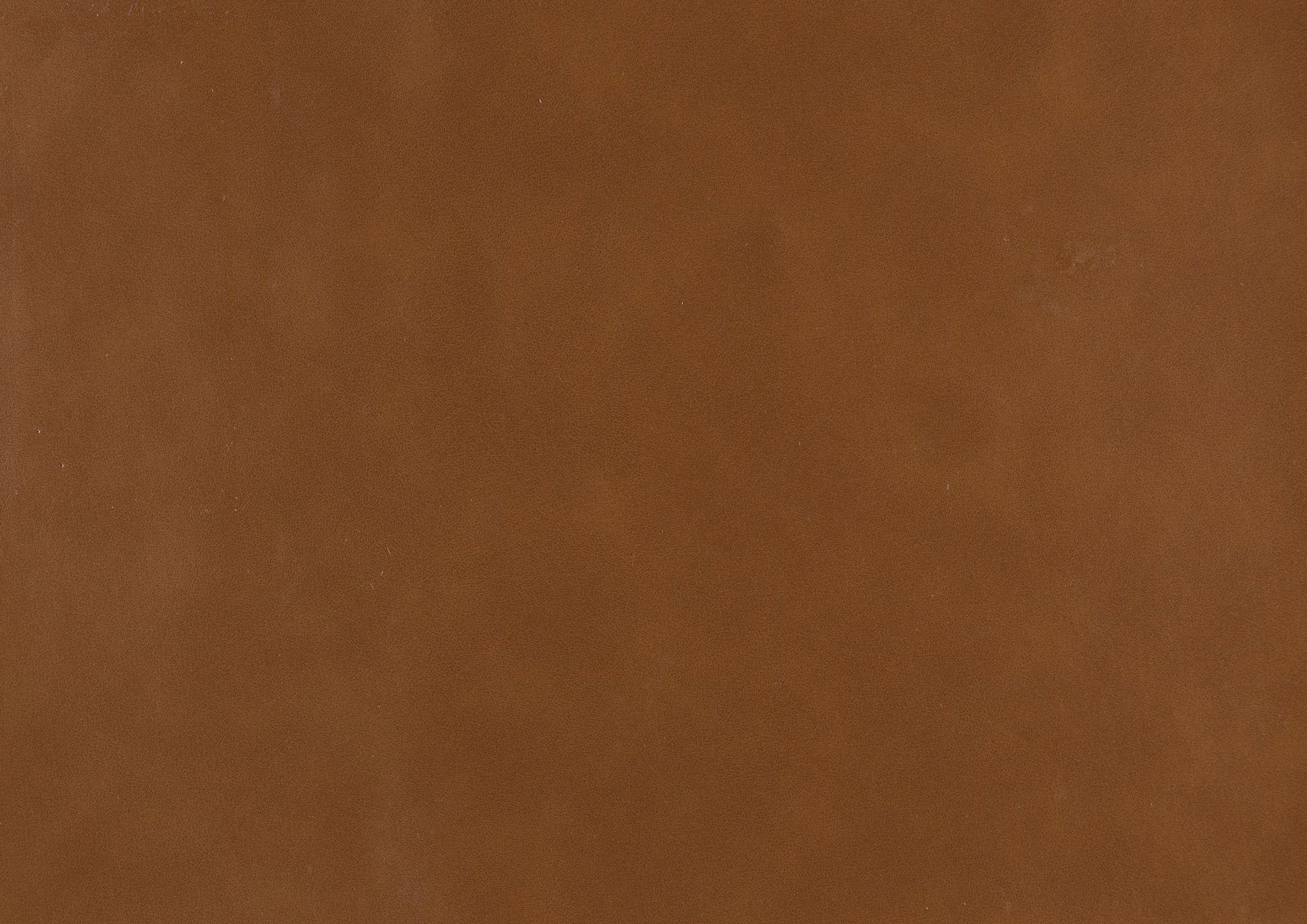 531843801